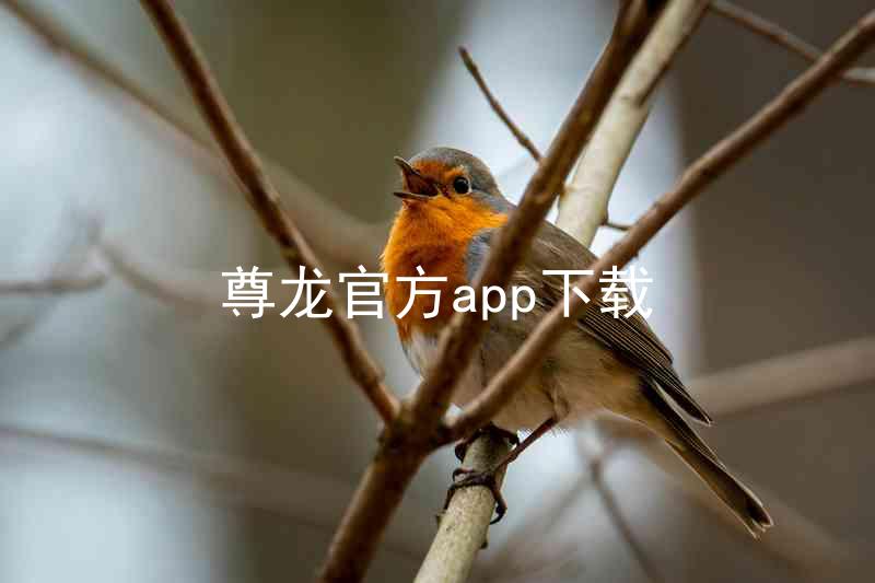 尊龙官方app下载