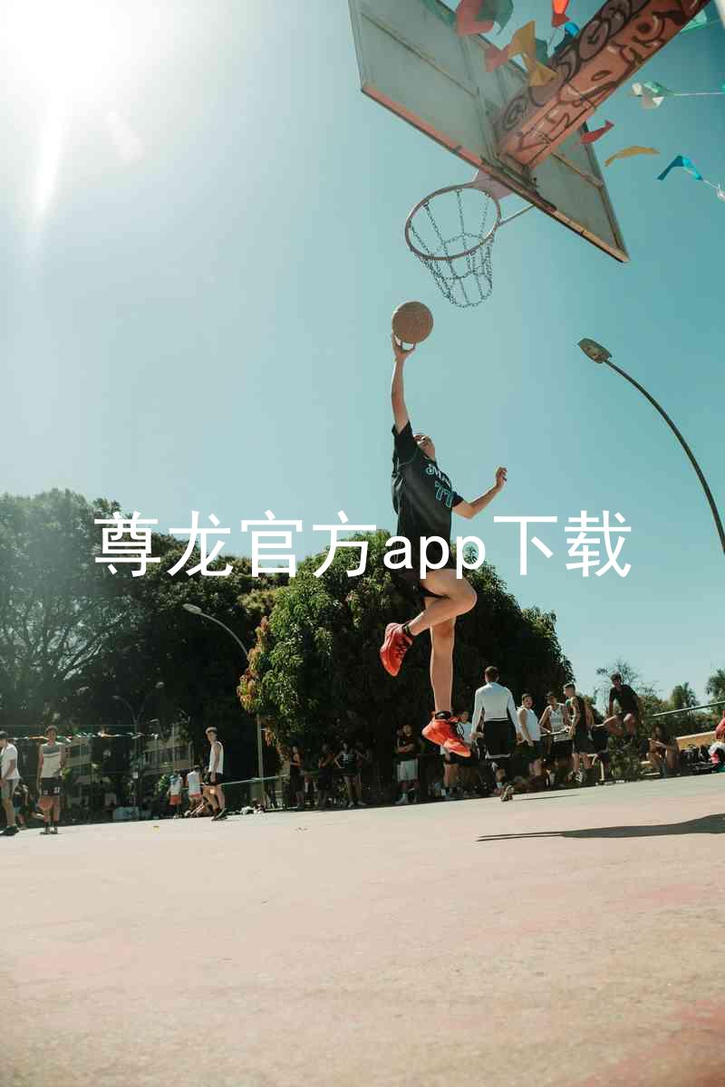尊龙官方app下载