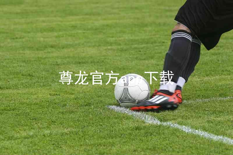 尊龙官方app下载