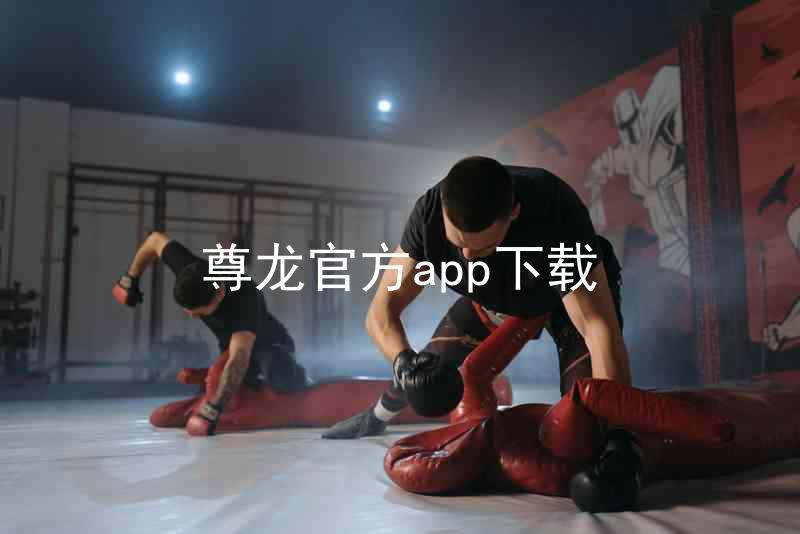 尊龙官方app下载